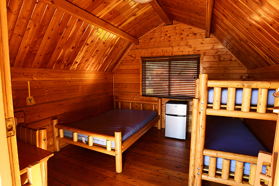 Arlington, Texas Lodging Dallas / Arlington KOA Holiday